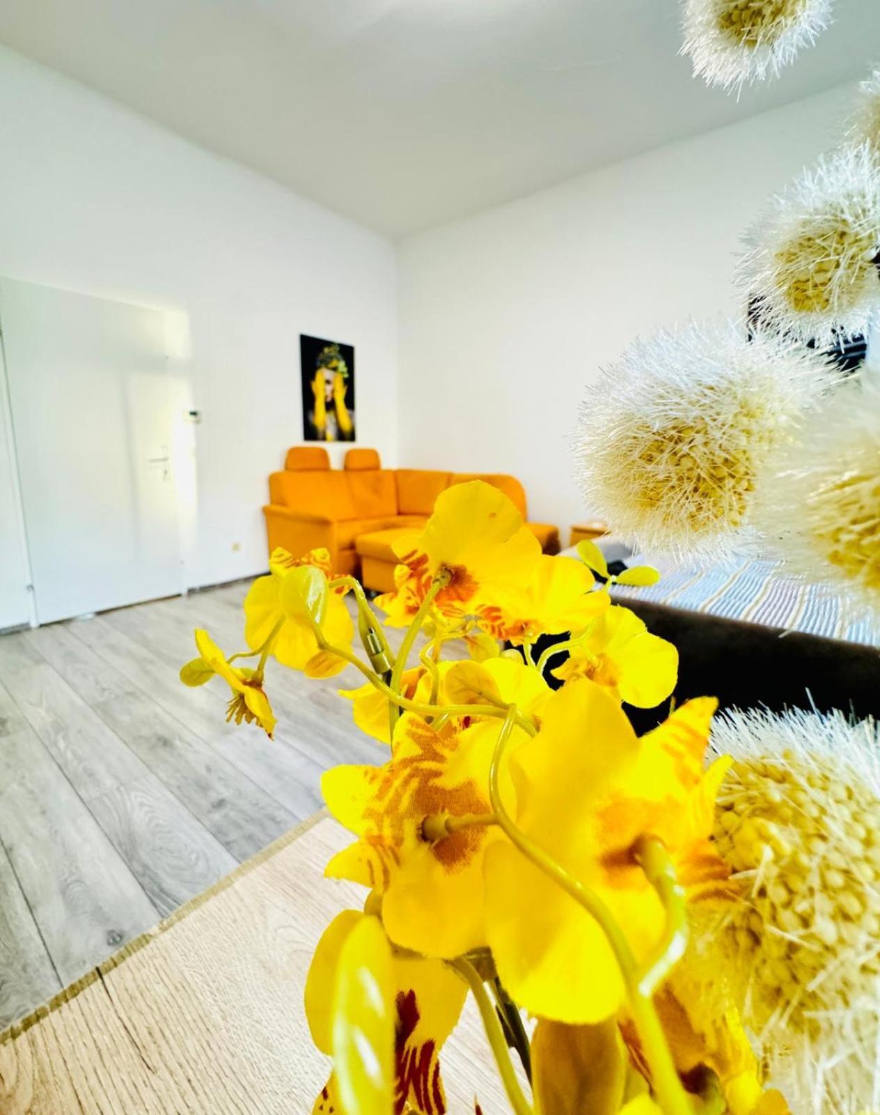 Comfy 3br In A Shared Apt, 10min To Fac Platz Apartamento